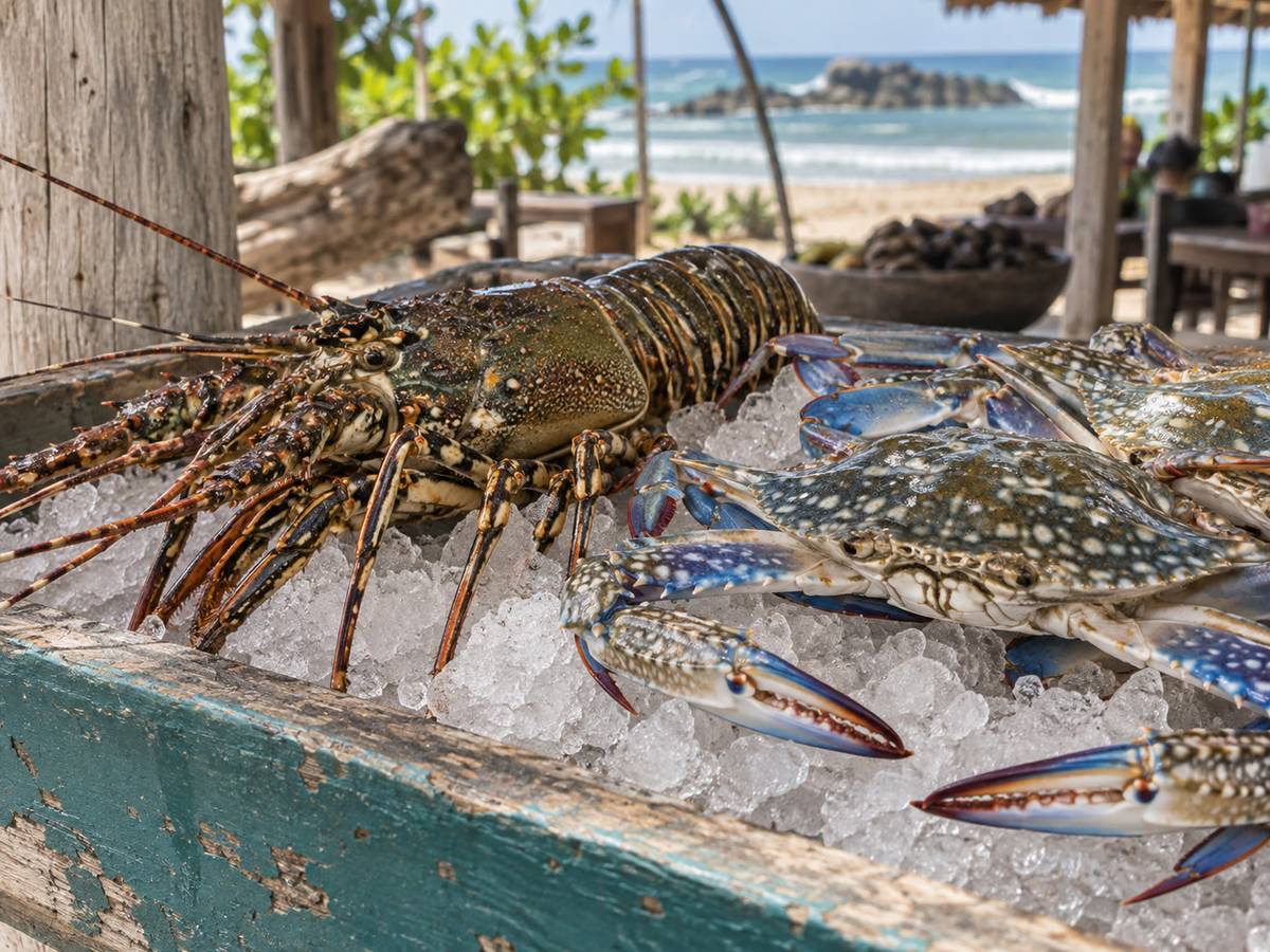 Lobster and crab on ice, sun-bleached counter